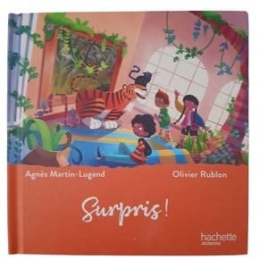 Surpris ! Le musée magique – livre jeunesse illustré
